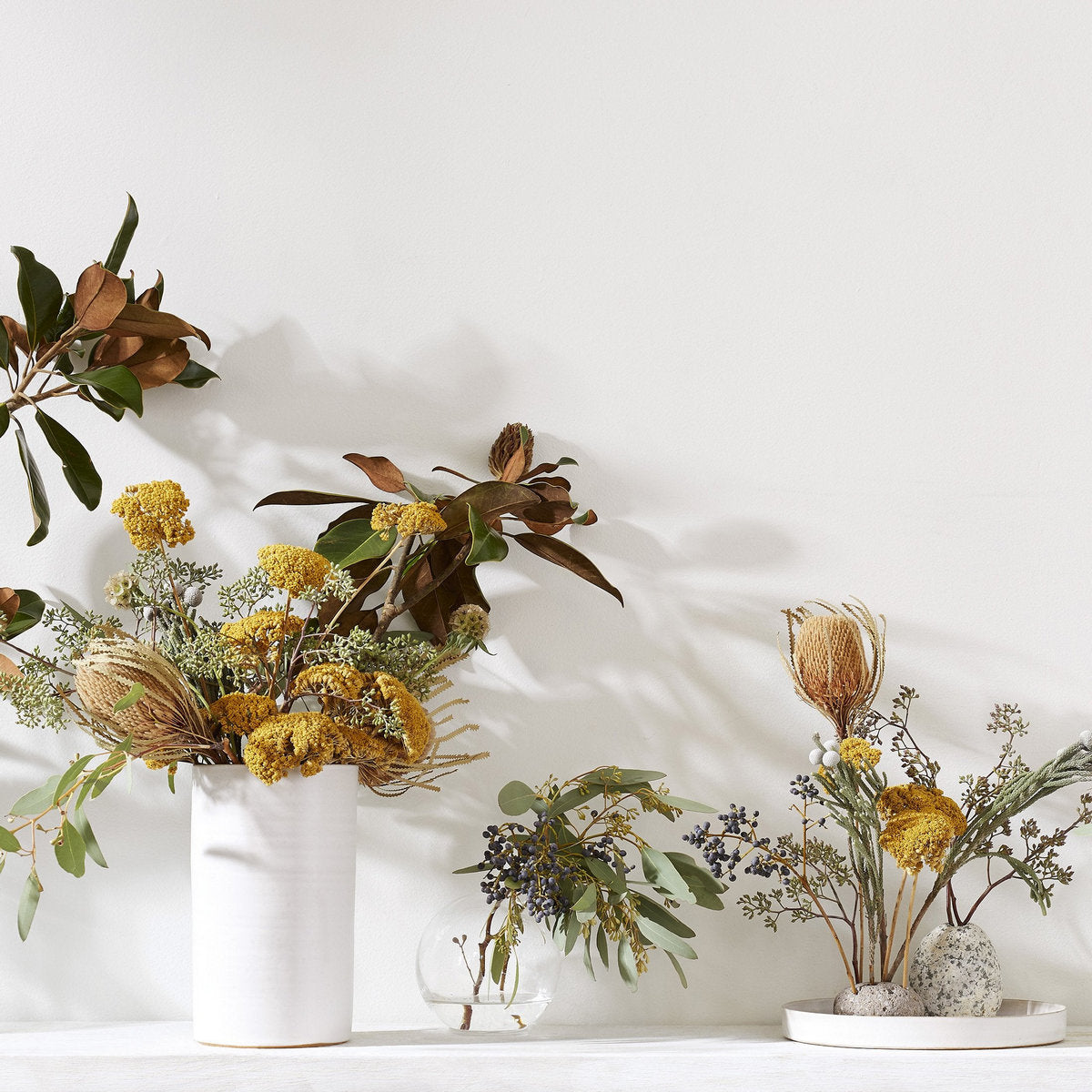 Bloomist Dried Banksia