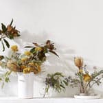 Set of Three Dried Natural Banksia - Bloomist