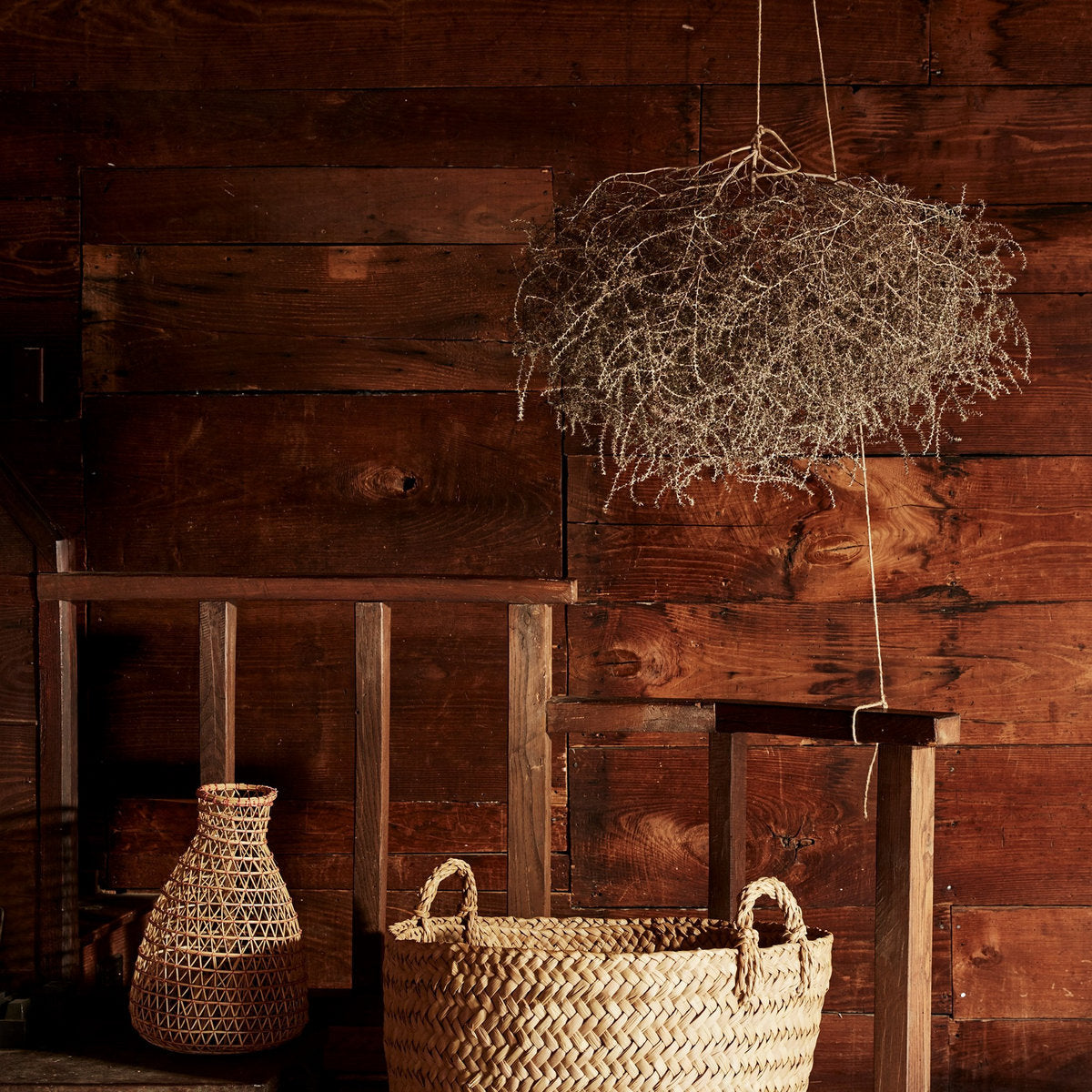 Dried Tumbleweed for Sale