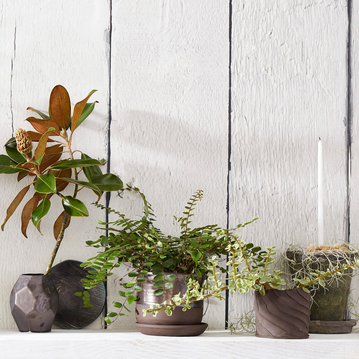 bark planter pot Bark Planter