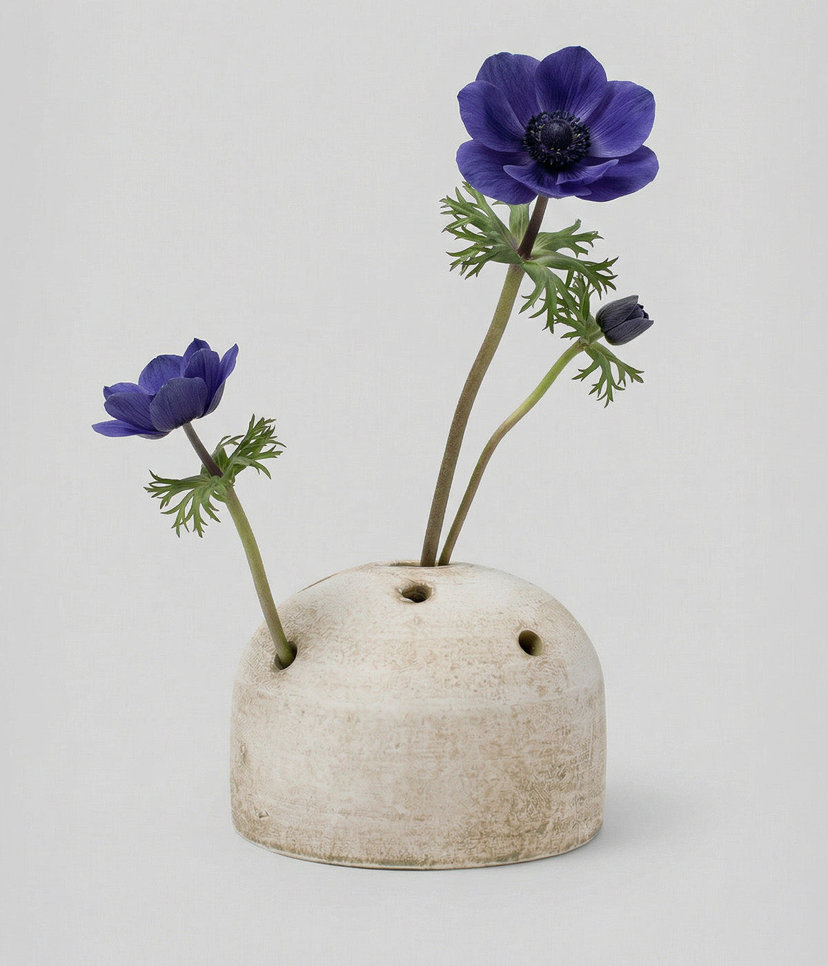 Ikebana + Frogs