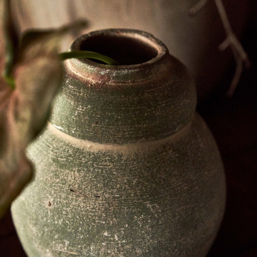 Terra Cotta Bud Vase, Greenwash - Bloomist