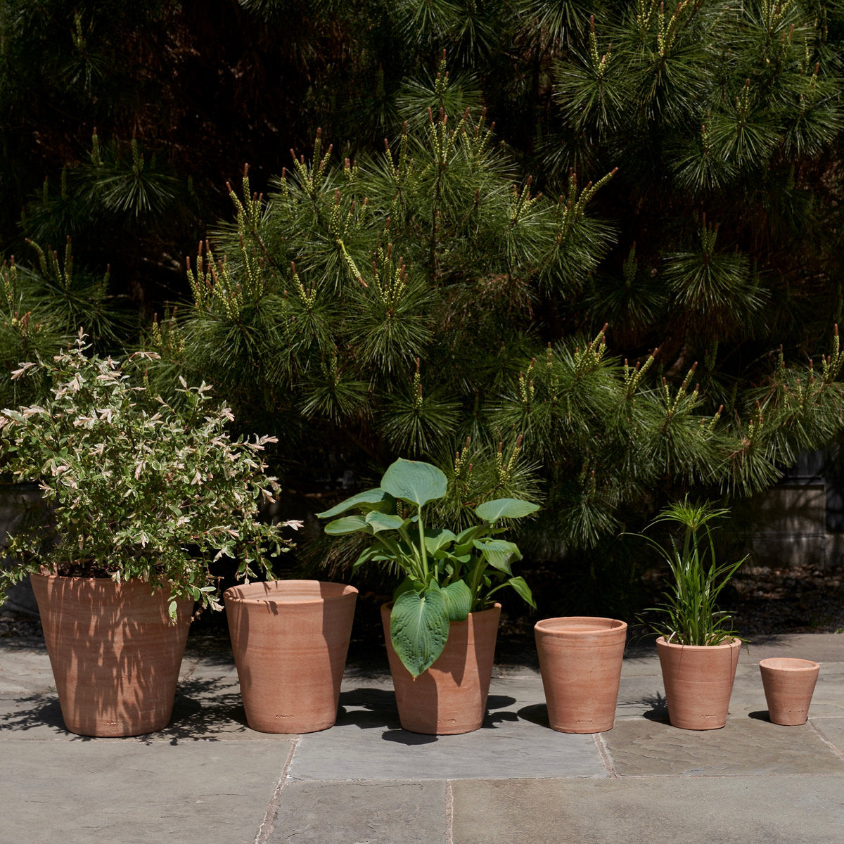 Studio Planter, Whitewash - Bloomist