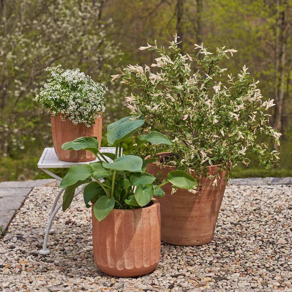 Fluted Planter - Bloomist