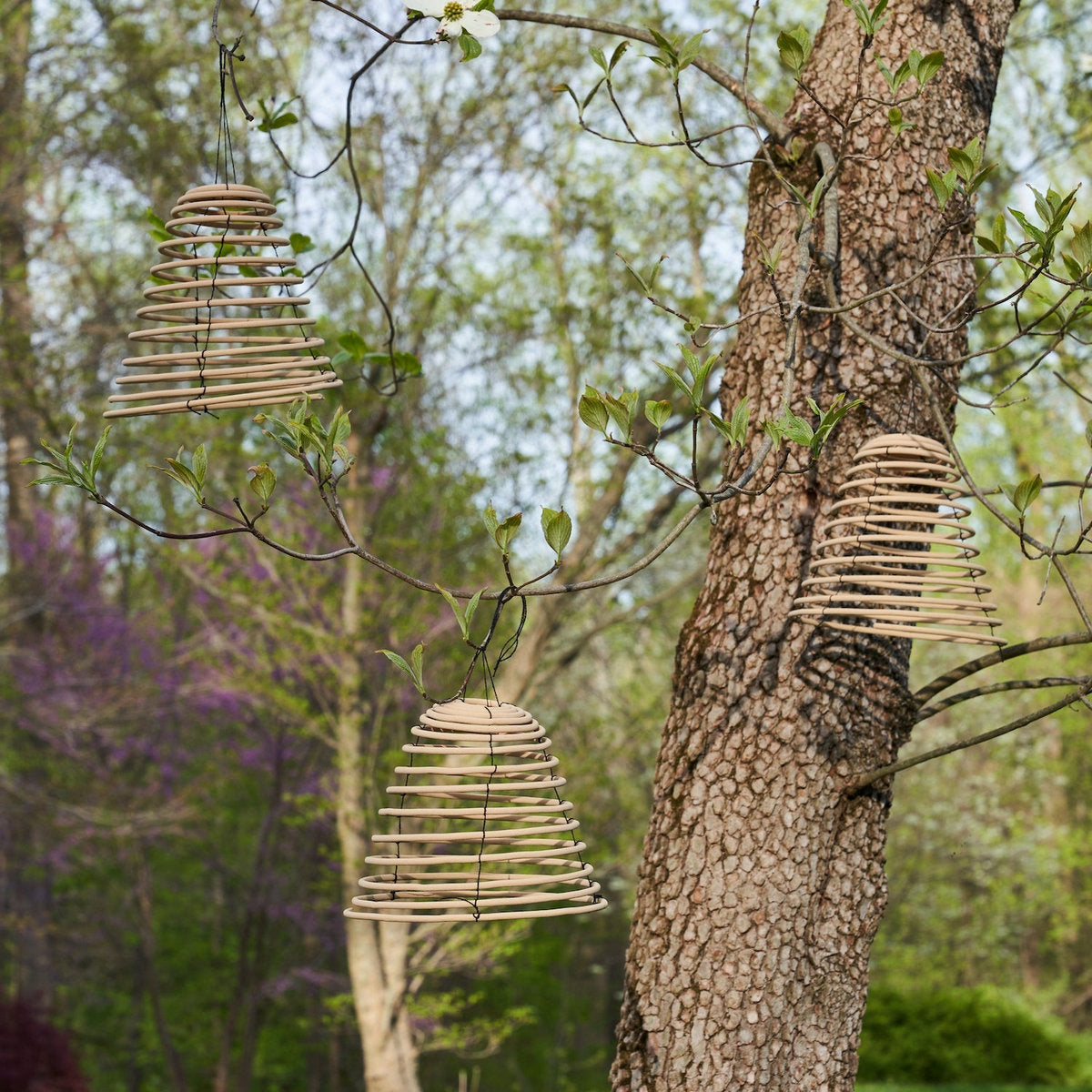 Citronella Incense Coil, Set of 5 Small