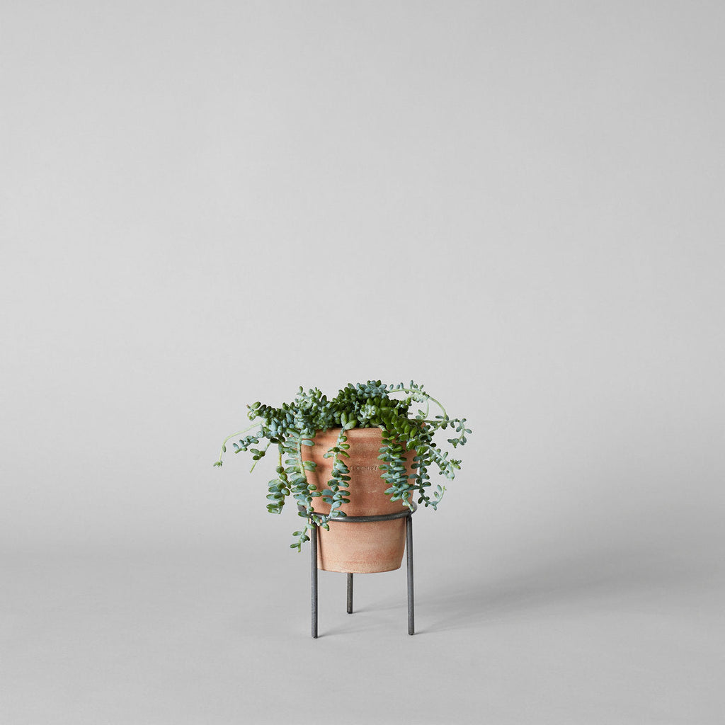 Wrought Iron Planter Stand - Bloomist