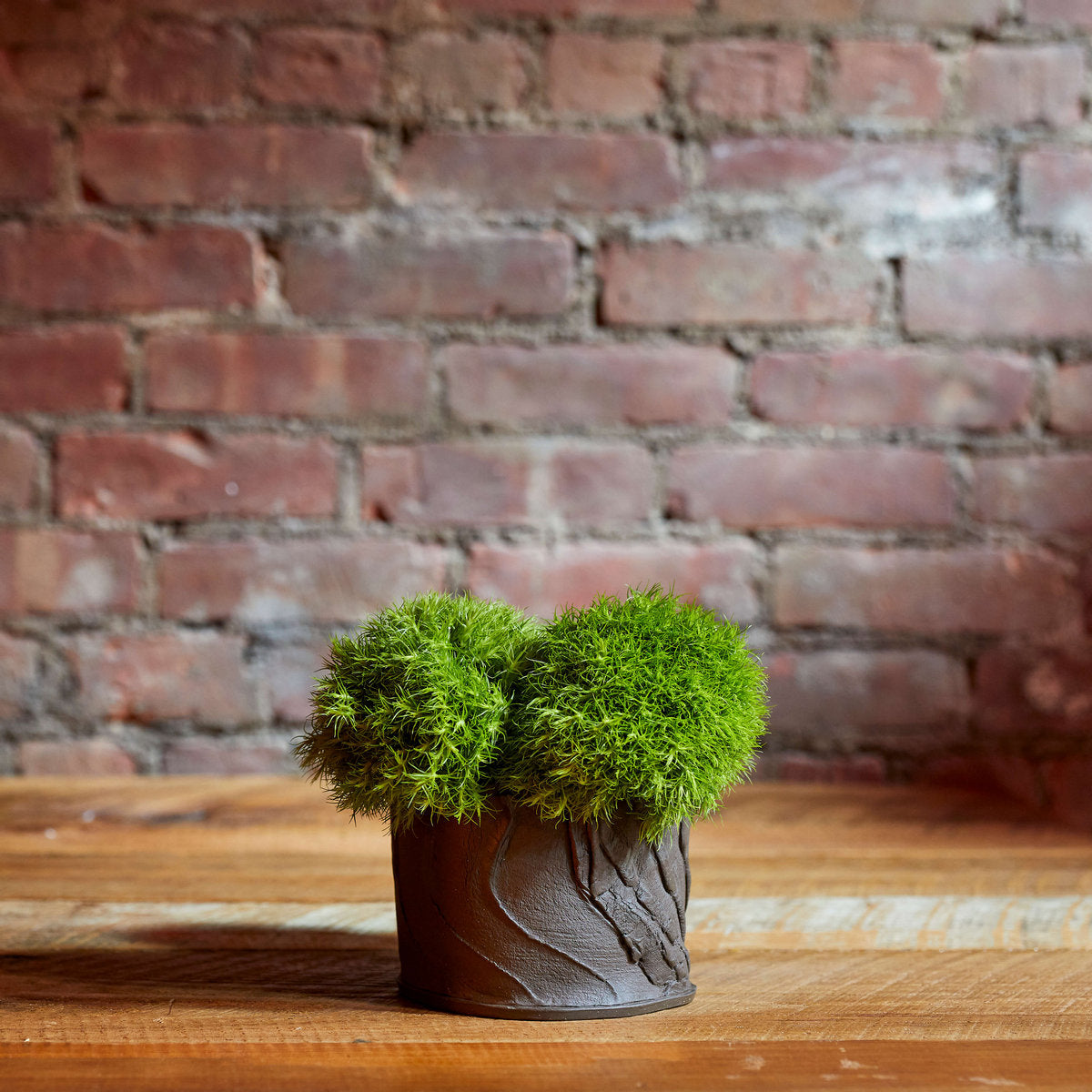 bark planter pot Bark Planter
