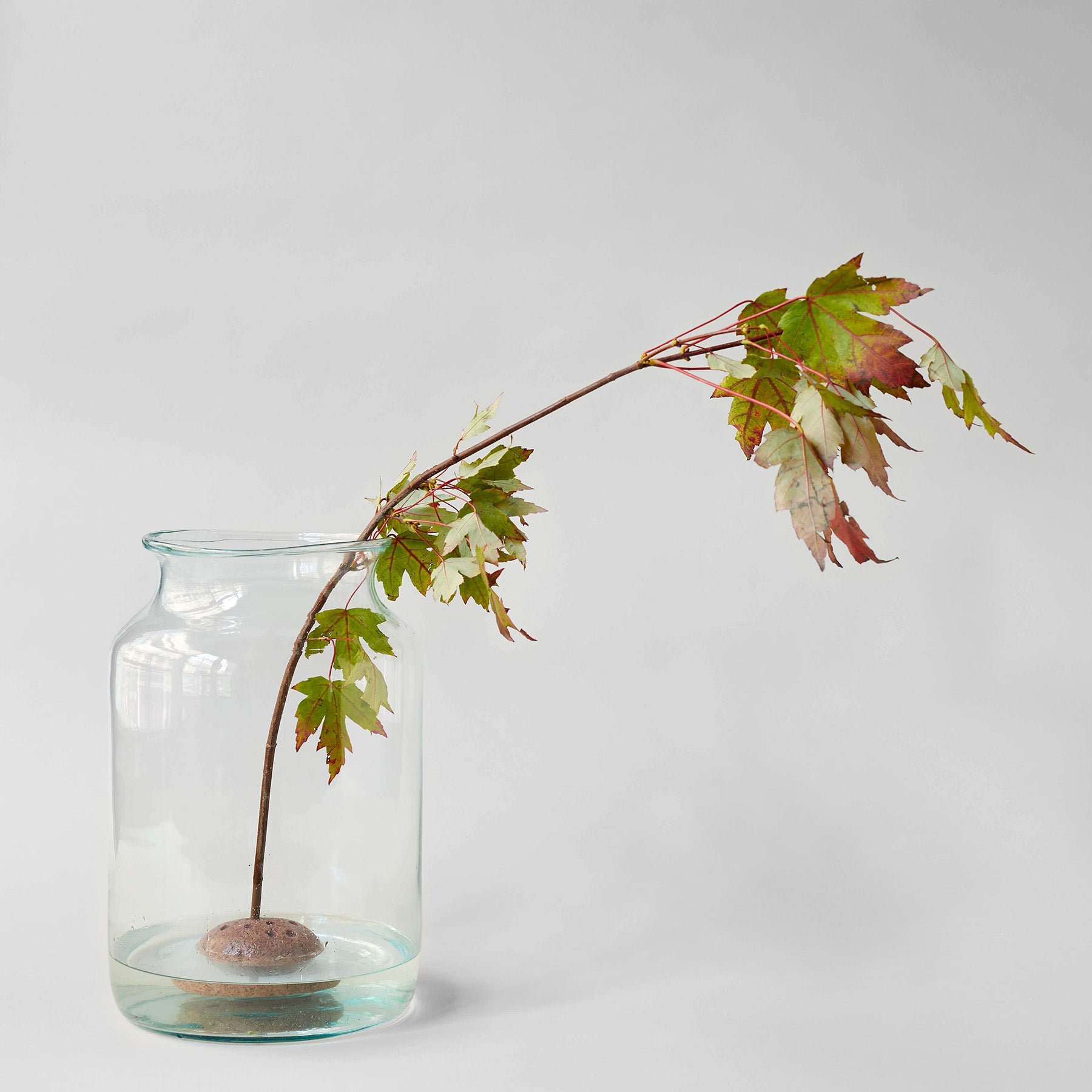 Stone flower frog placed inside a glass vessel with a branching stem