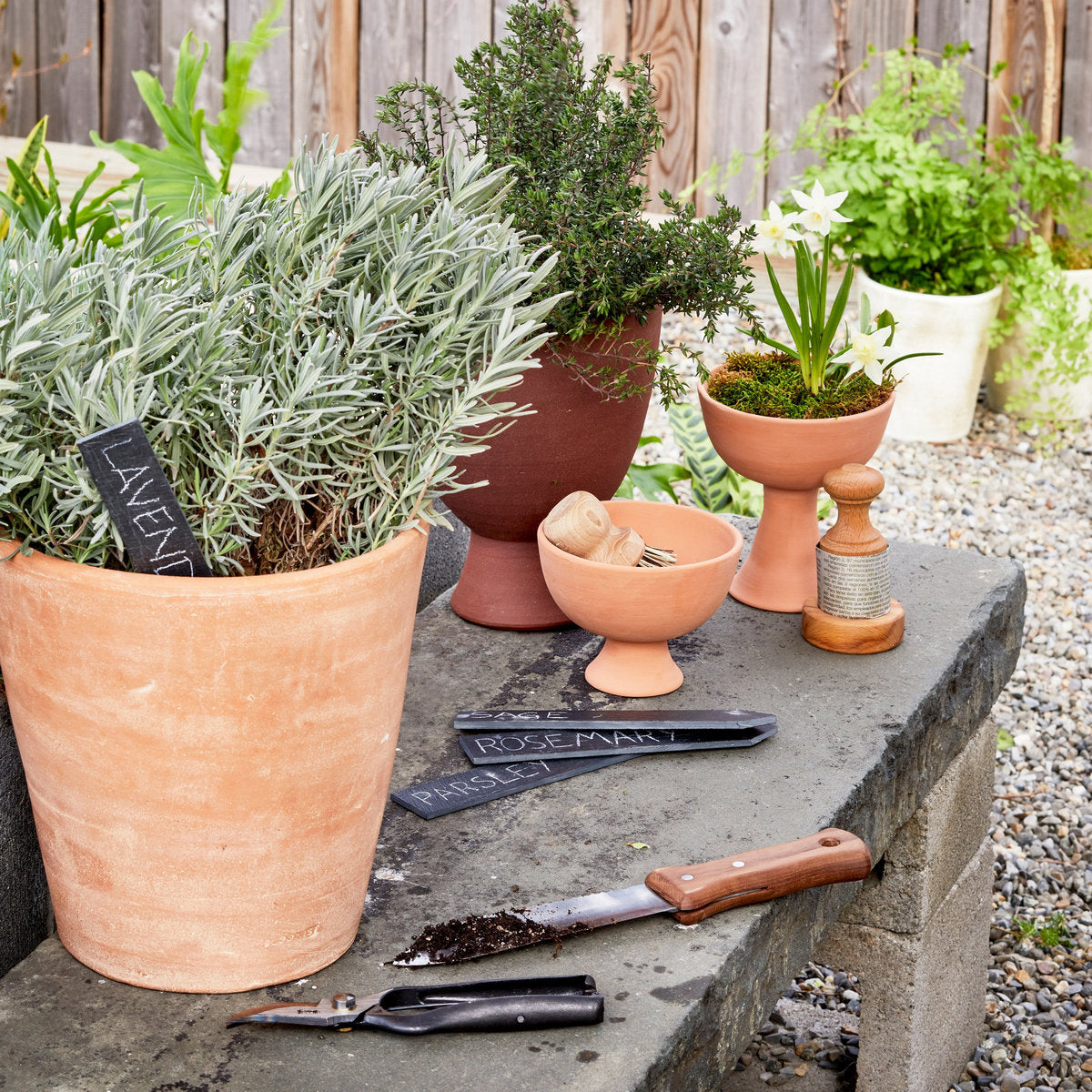 Studio Planter, Whitewash - Bloomist