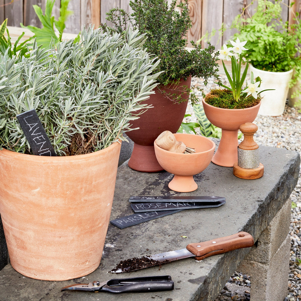 plant paper pots Paper Pot Press