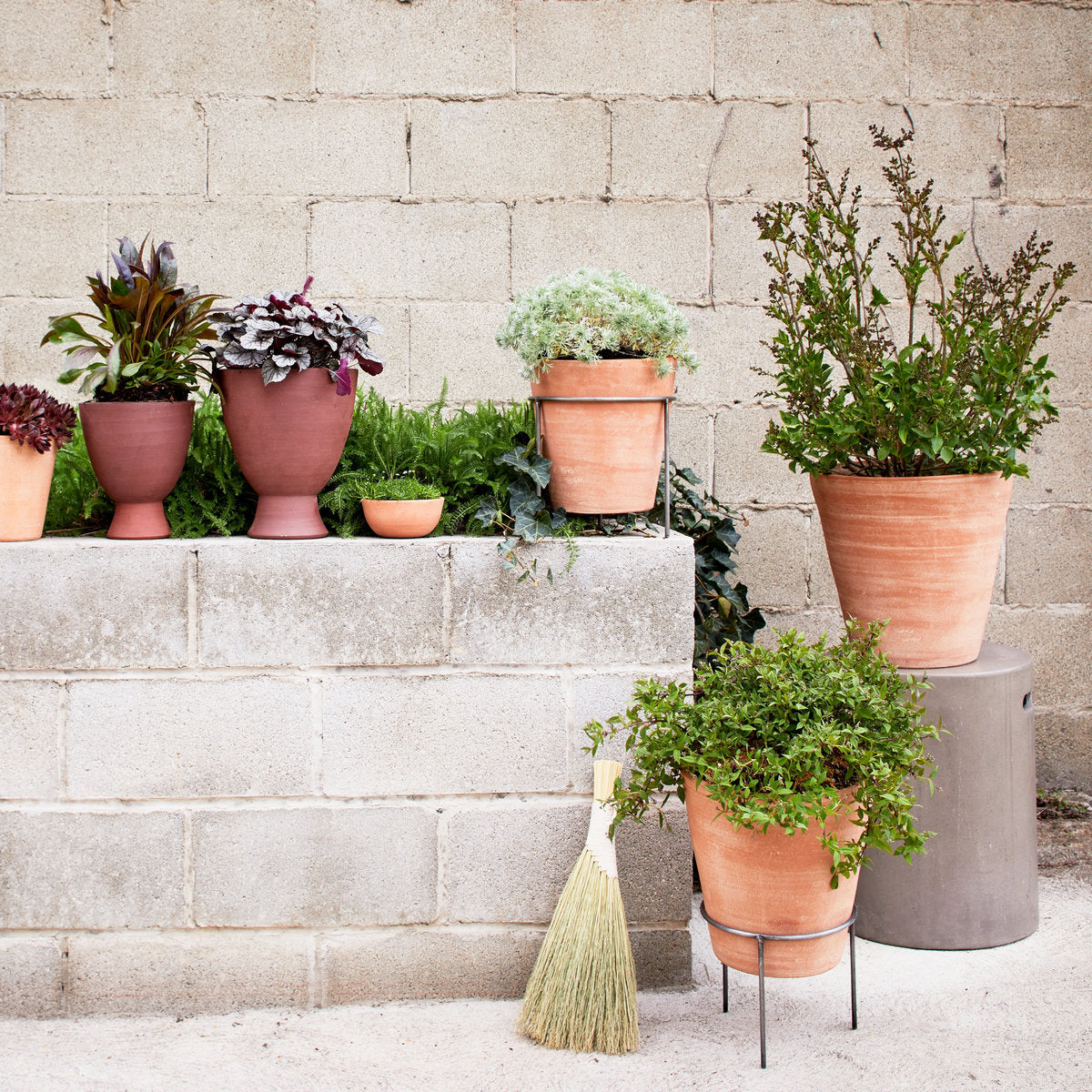 Studio Planter, Whitewash - Bloomist