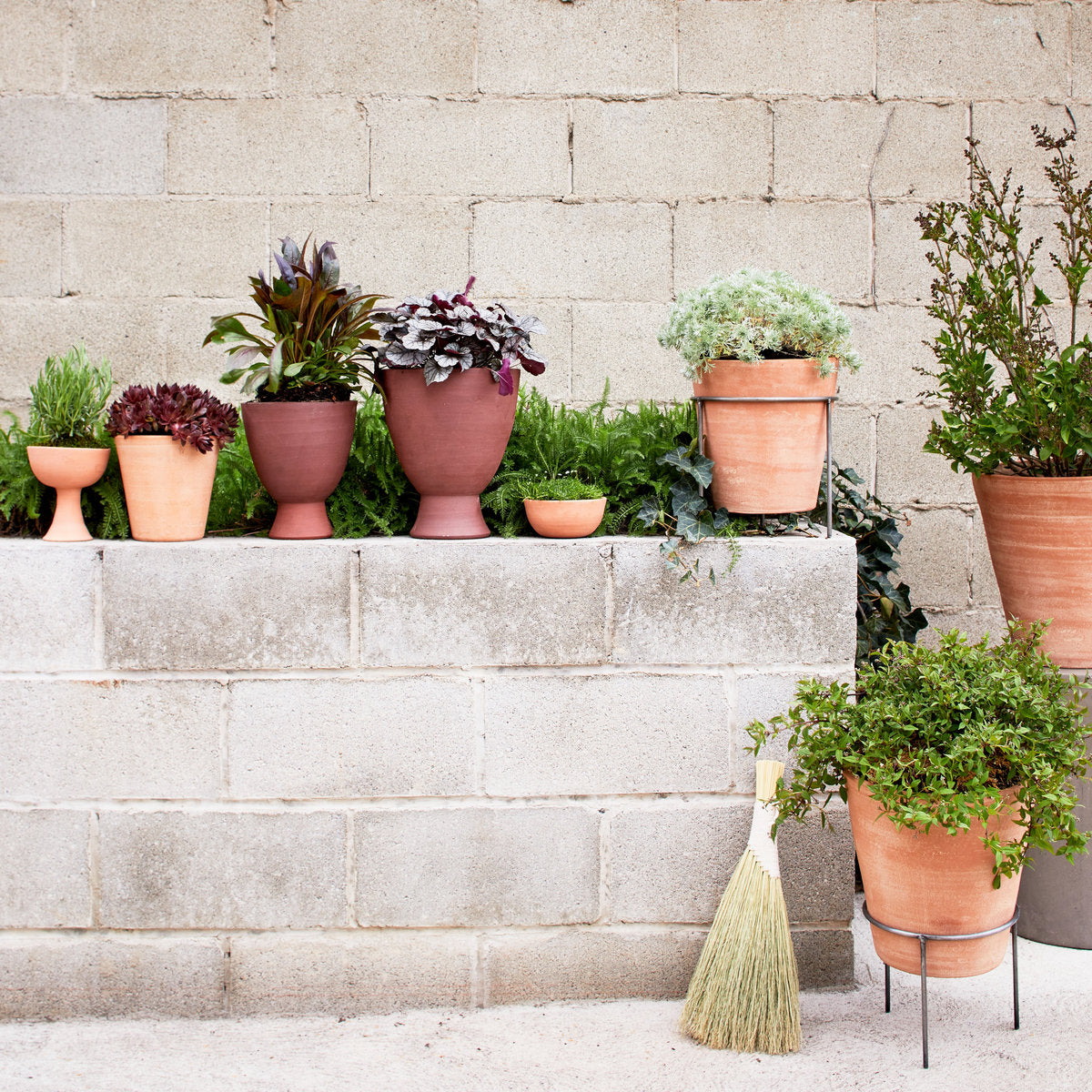 Half Sphere Terra Cotta Planter - Bloomist