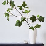 Bough Vase - Bloomist