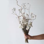 Helipterum Dried Bouquet - Bloomist