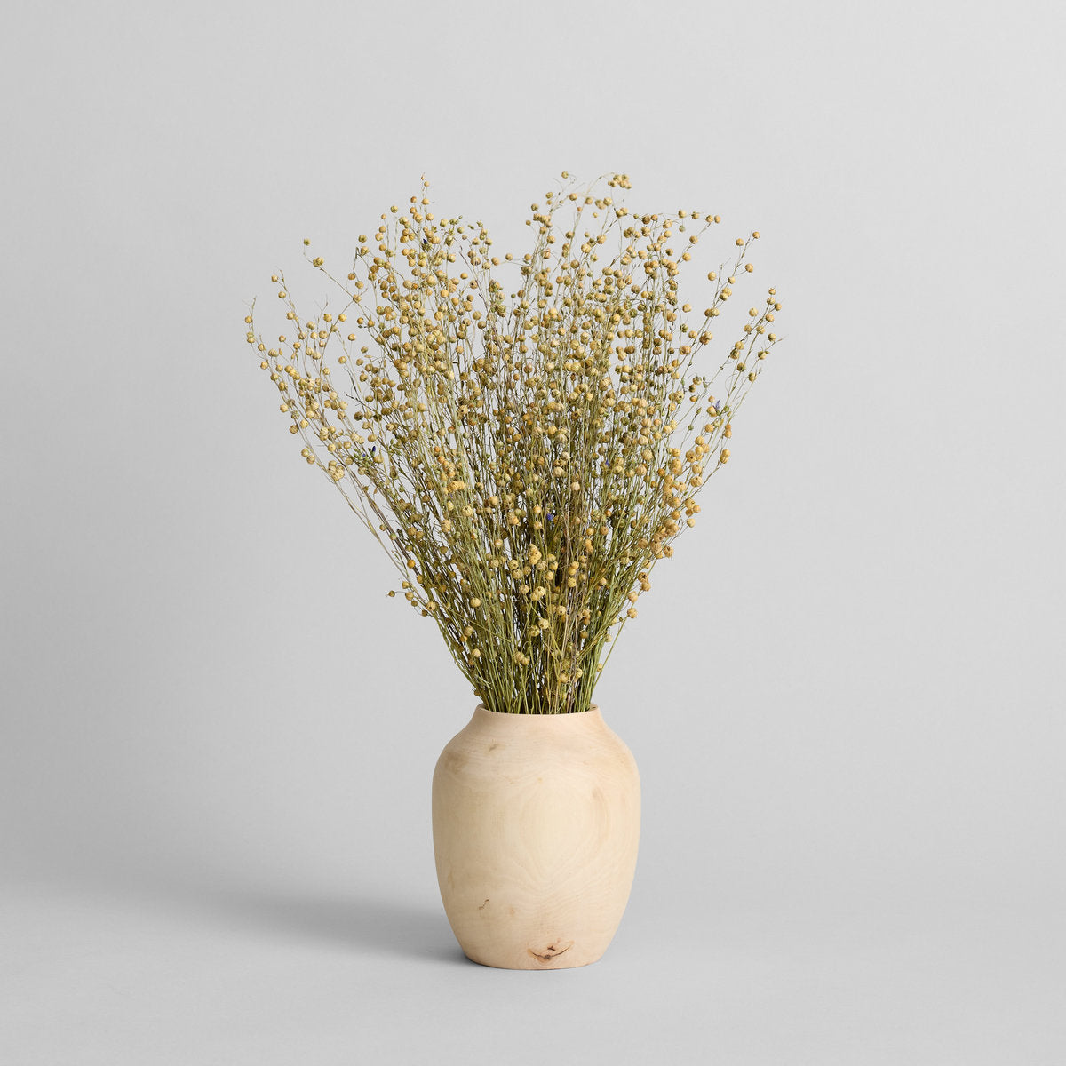 Dried Flax - Bloomist