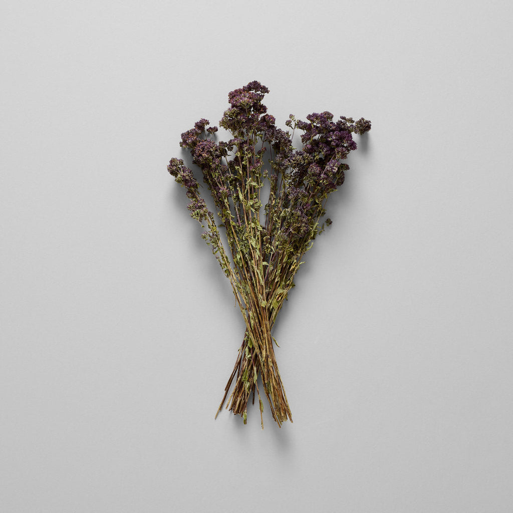 Dried Purple Blooming Oregano - Bloomist