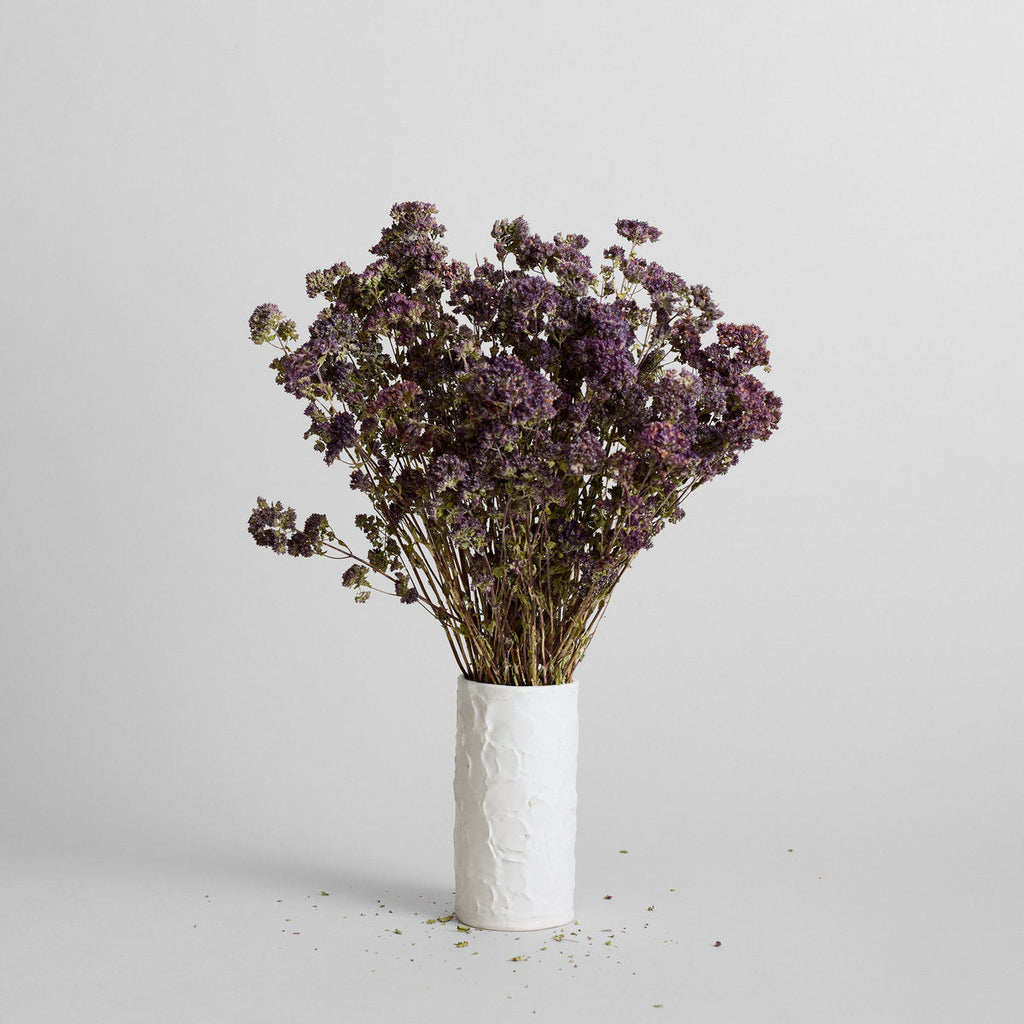 Dried Purple Blooming Oregano - Bloomist