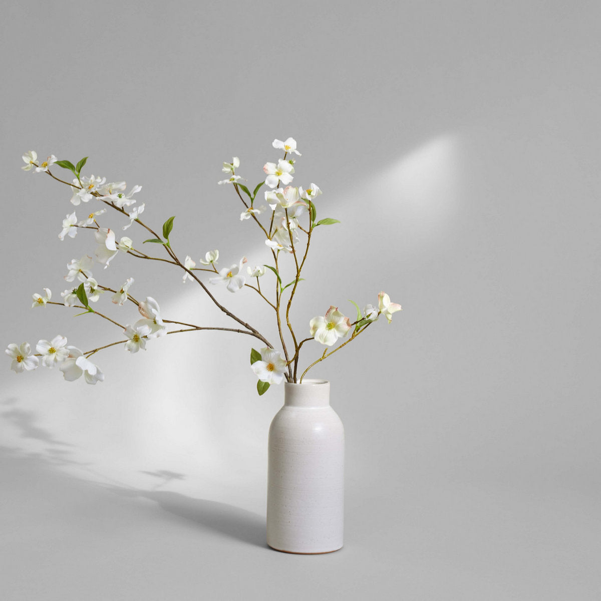 Bottle Vase - Bloomist