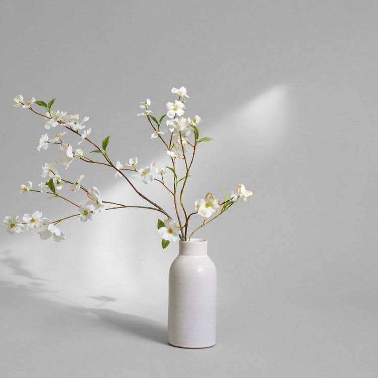 Bottle Vase - Bloomist