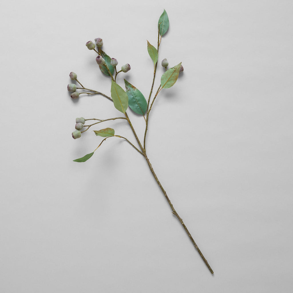 EcoFaux Eucalyptus Pod Branch - Bloomist