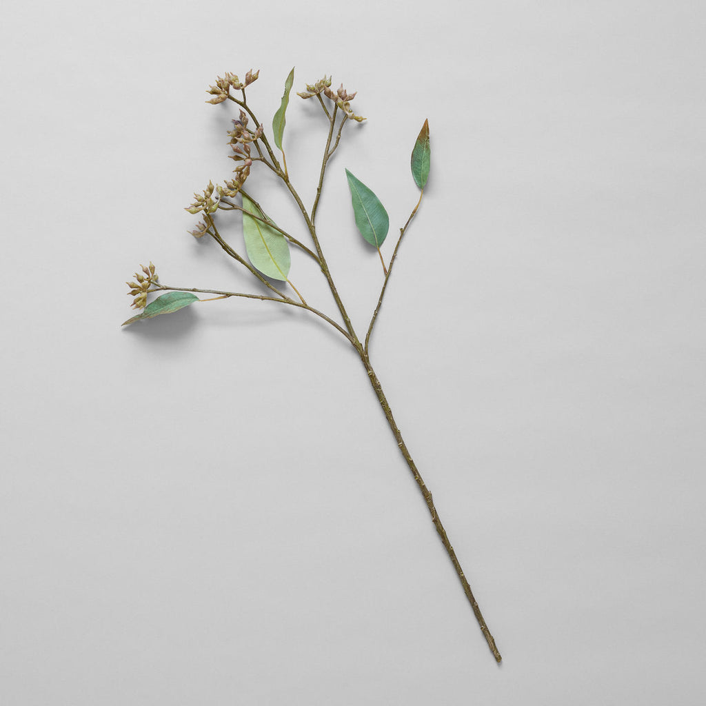 EcoFaux Eucalyptus Seed Branch - Bloomist