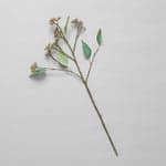 EcoFaux Eucalyptus Seed Branch - Bloomist