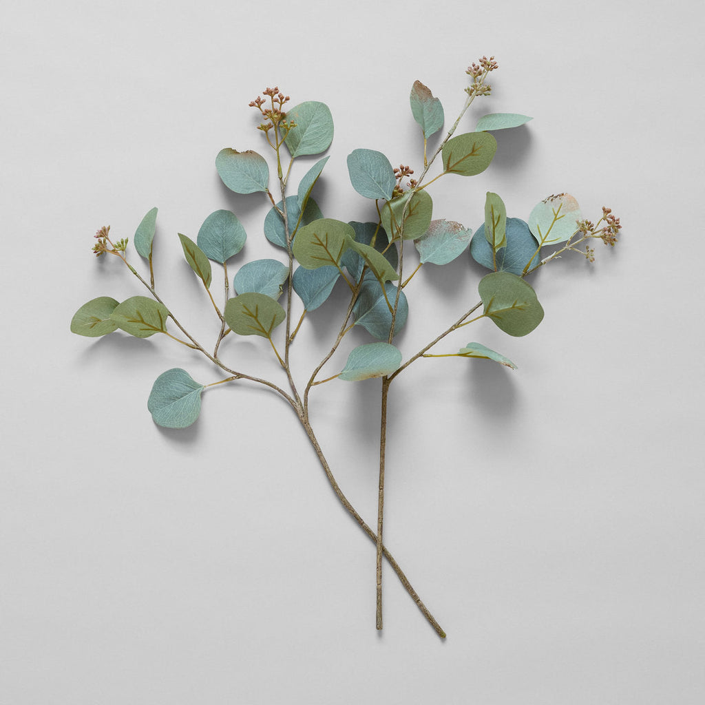 EcoFaux Silver Dollar Eucalyptus, 20" - Bloomist