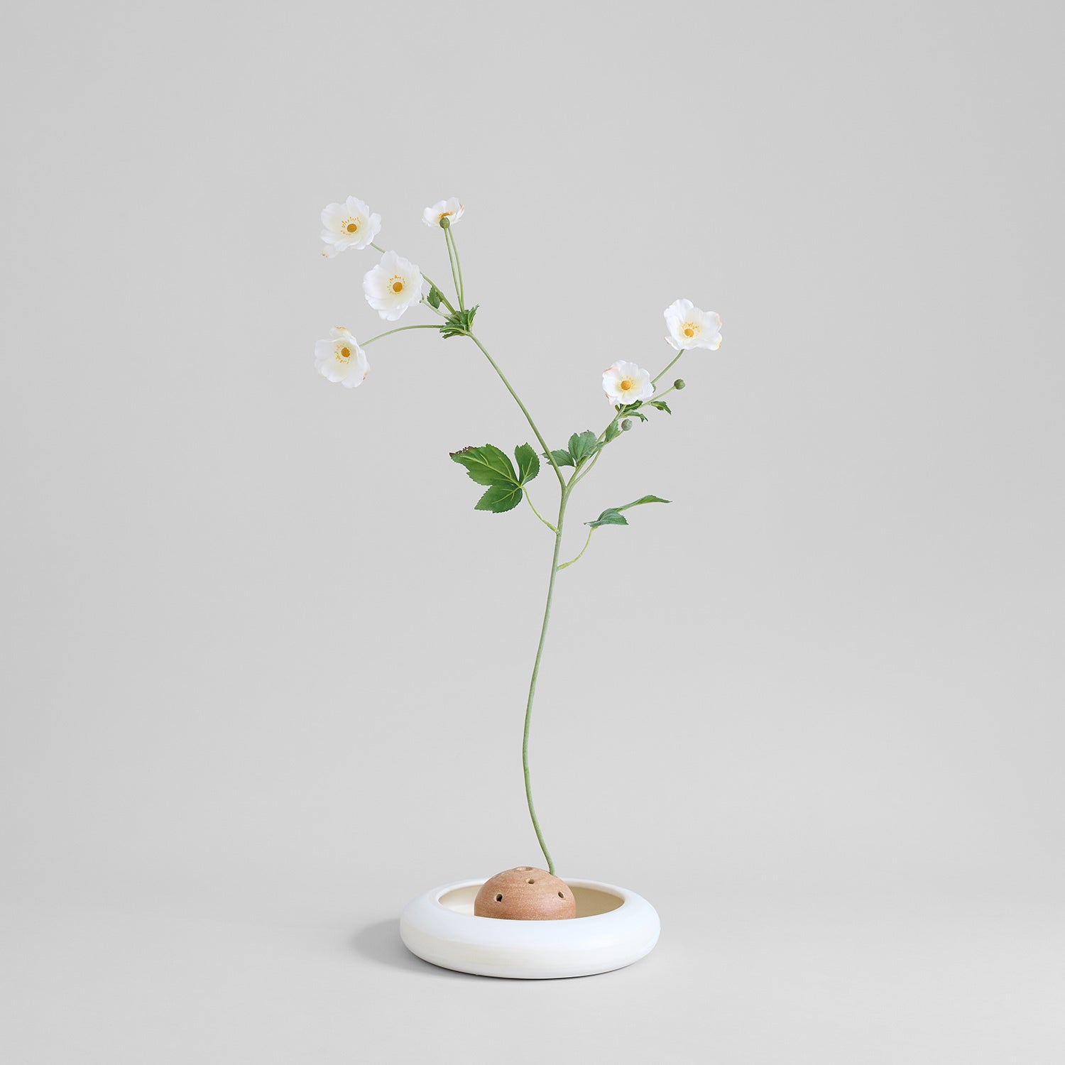 Single white flower stem in terra cotta frog vase