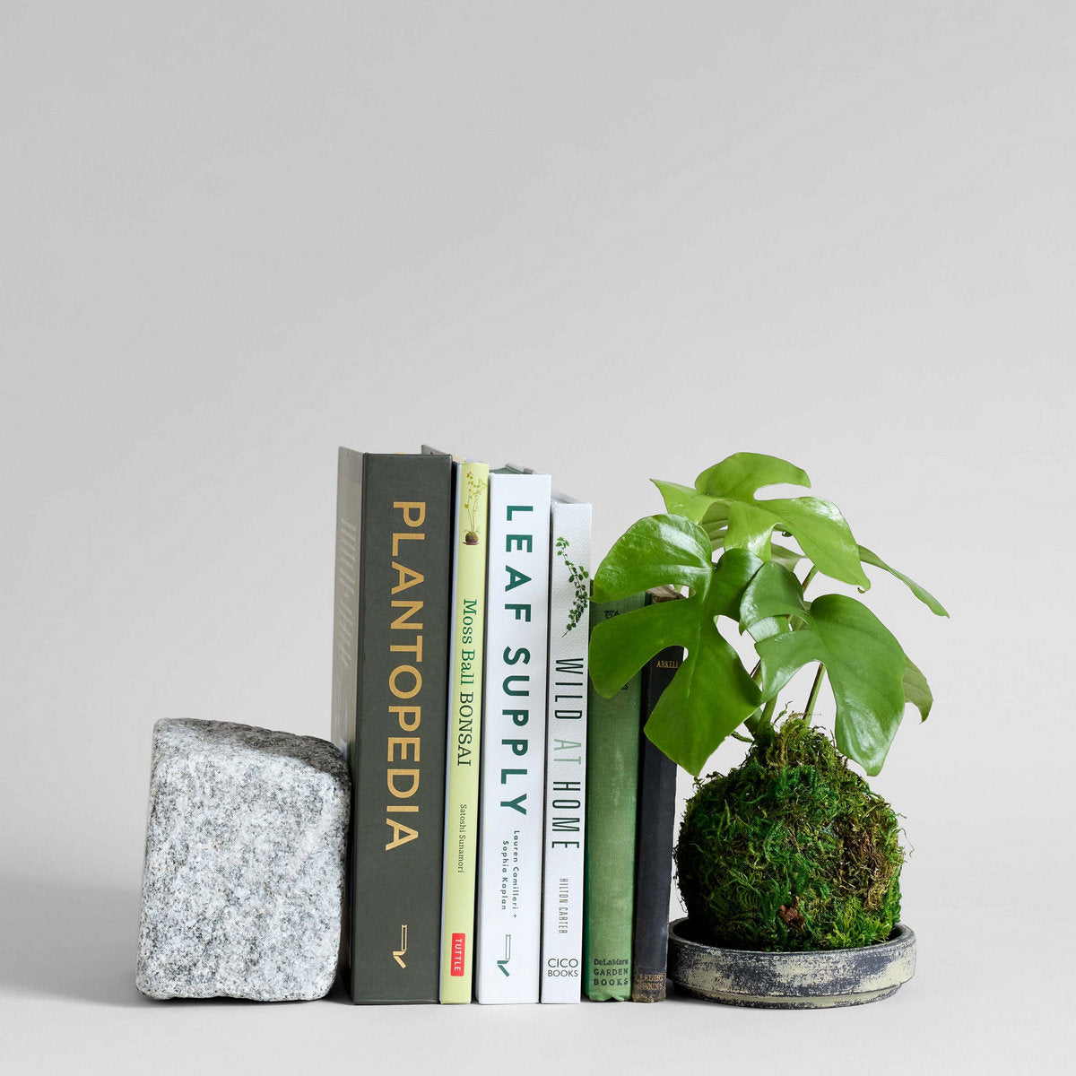 Bloomist Granite Stand
