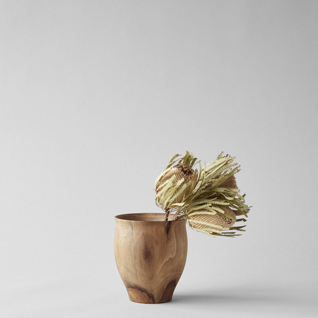 Set of Three Dried Natural Banksia - Bloomist