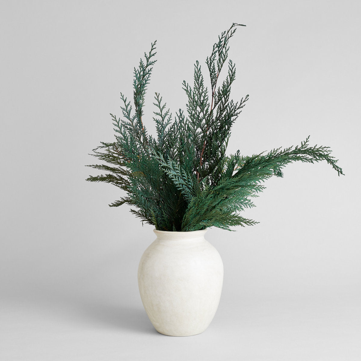 Preserved Cedar - Thumbnail 2