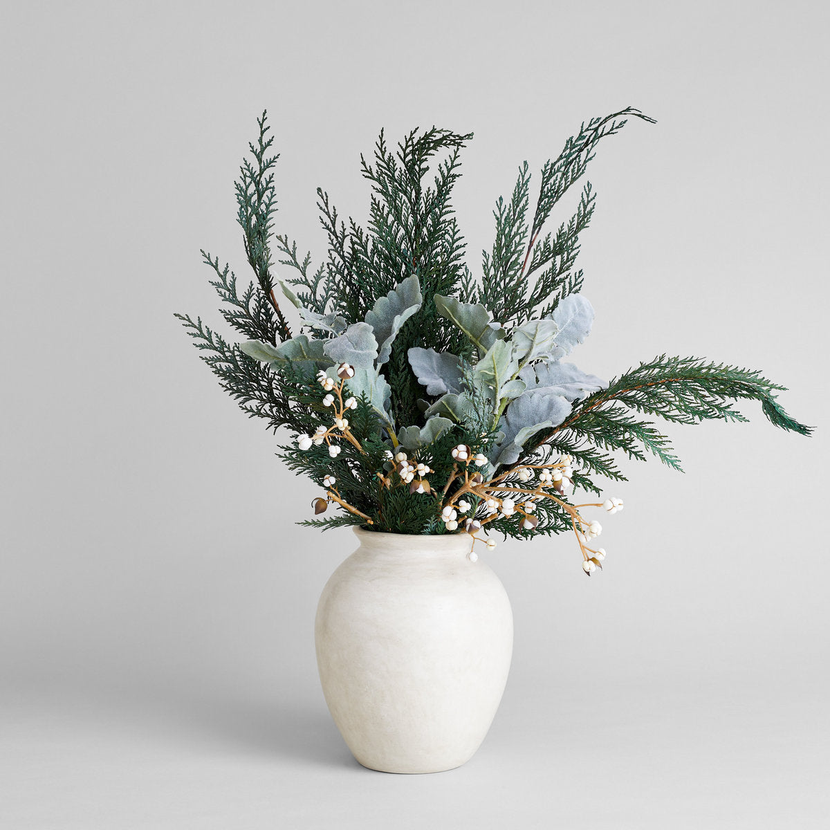 Preserved Cedar - Bloomist