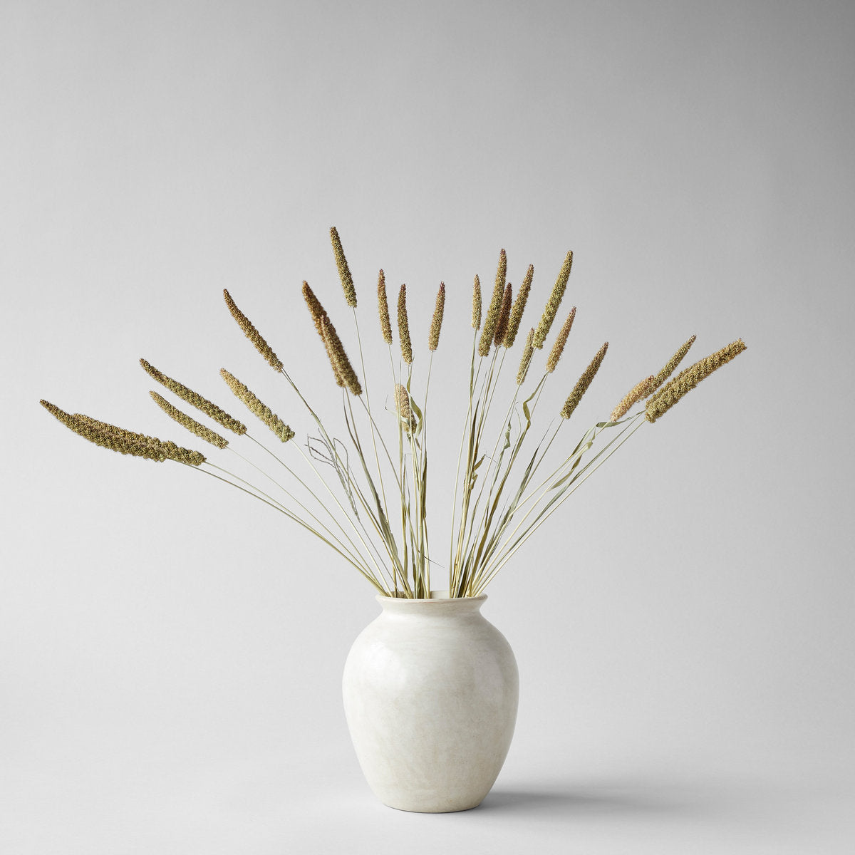 China Millet - Thumbnail 3
