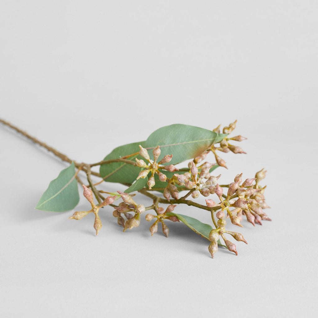 EcoFaux Eucalyptus Seed Branch - Bloomist