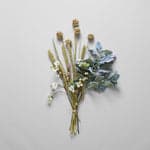 Dried Nigella Pods - Bloomist