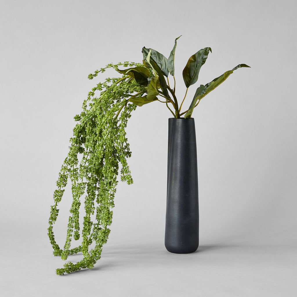 Black Novah Pitcher - Bloomist