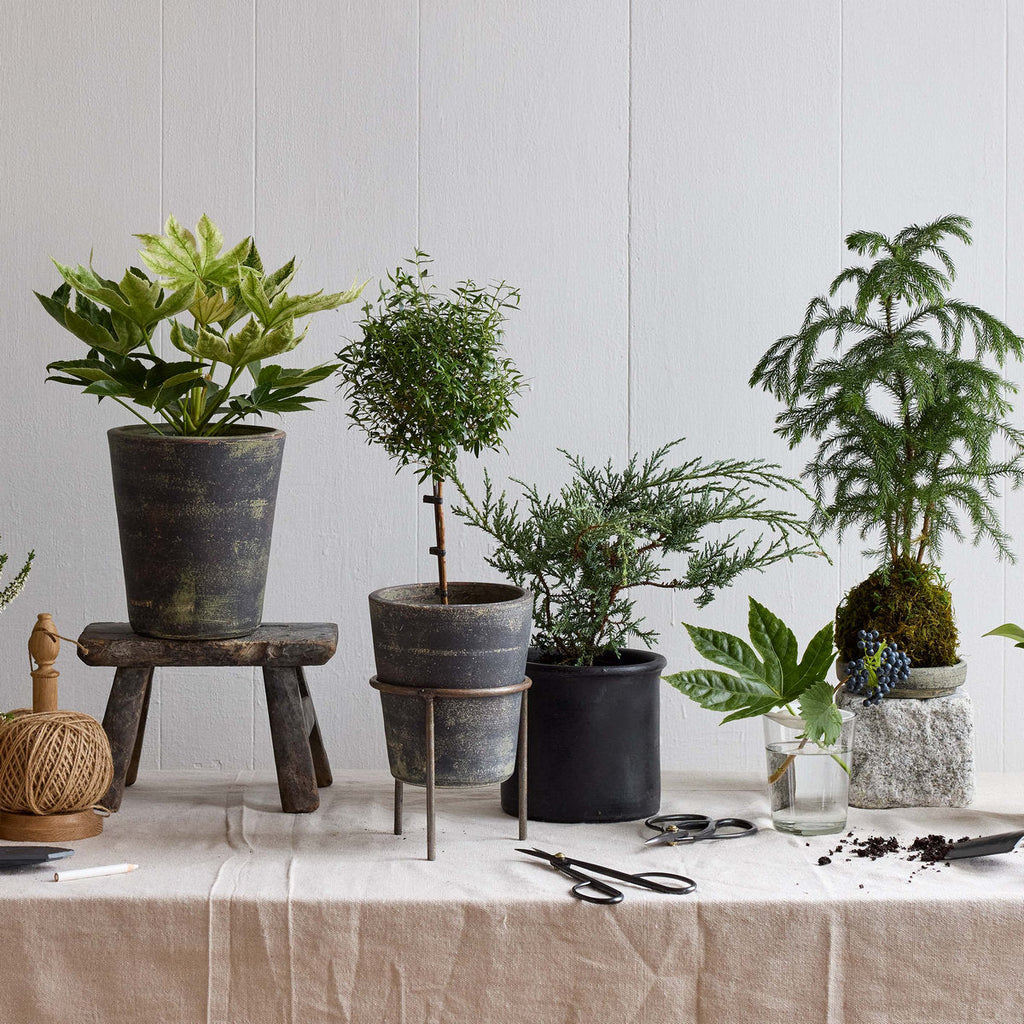 Wrought Iron Planter Stand - Bloomist