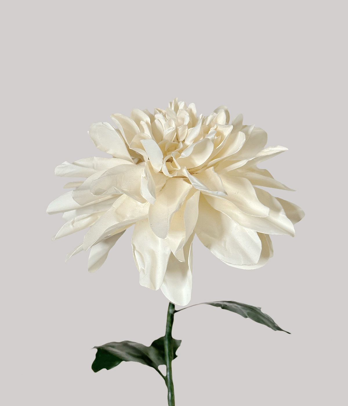 White chrysanthemum beeswax paper flower 