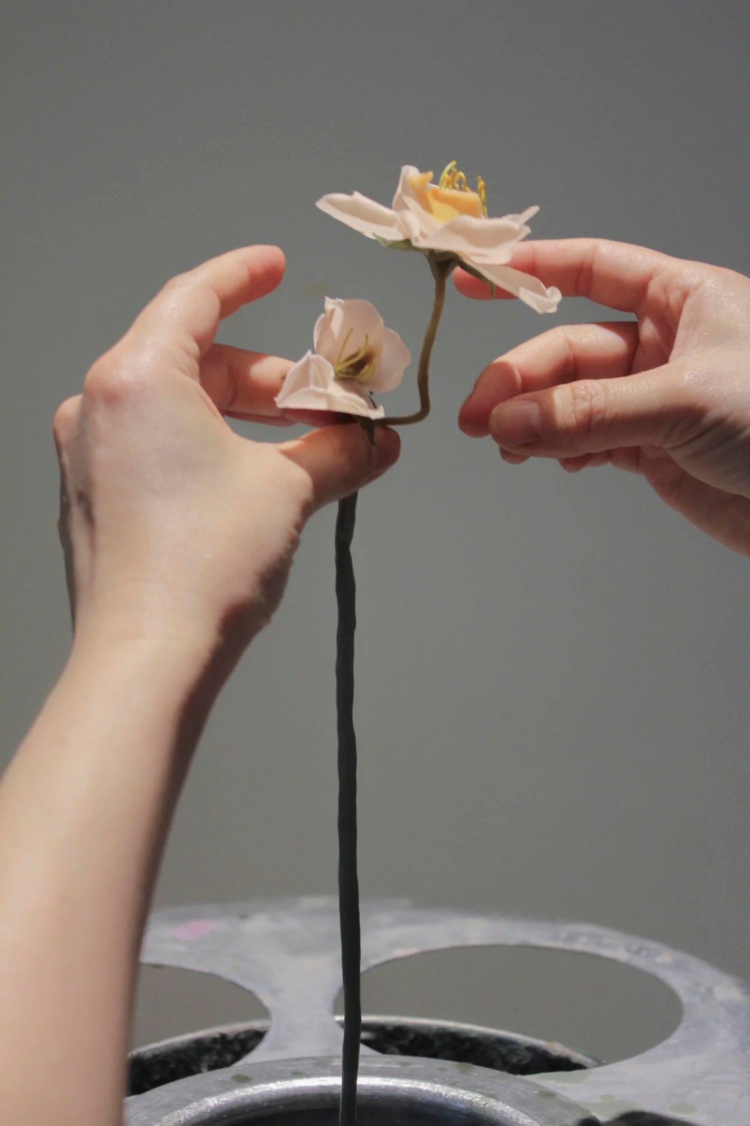 Hands adjusting the stem of a beeswax-dipped paper chrysanthemum flower