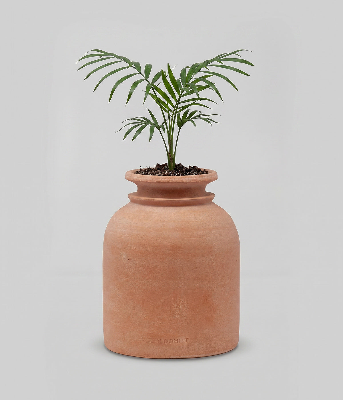 Collar Terracotta Jar, Whitewash