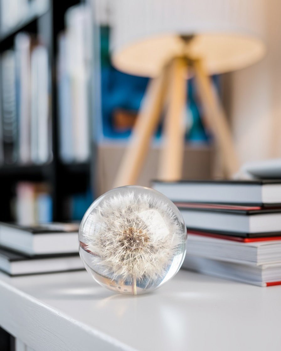Dandelion Paperweight | Preserved Dandelion in Resin | Bloomist