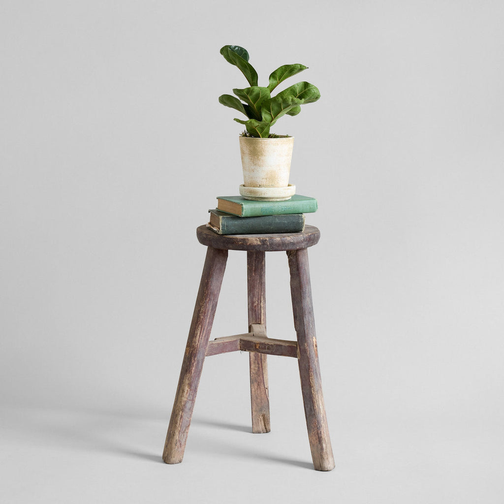 Vintage Elmwood Stool - Bloomist