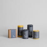 Beeswax Candles Collection - Bloomist