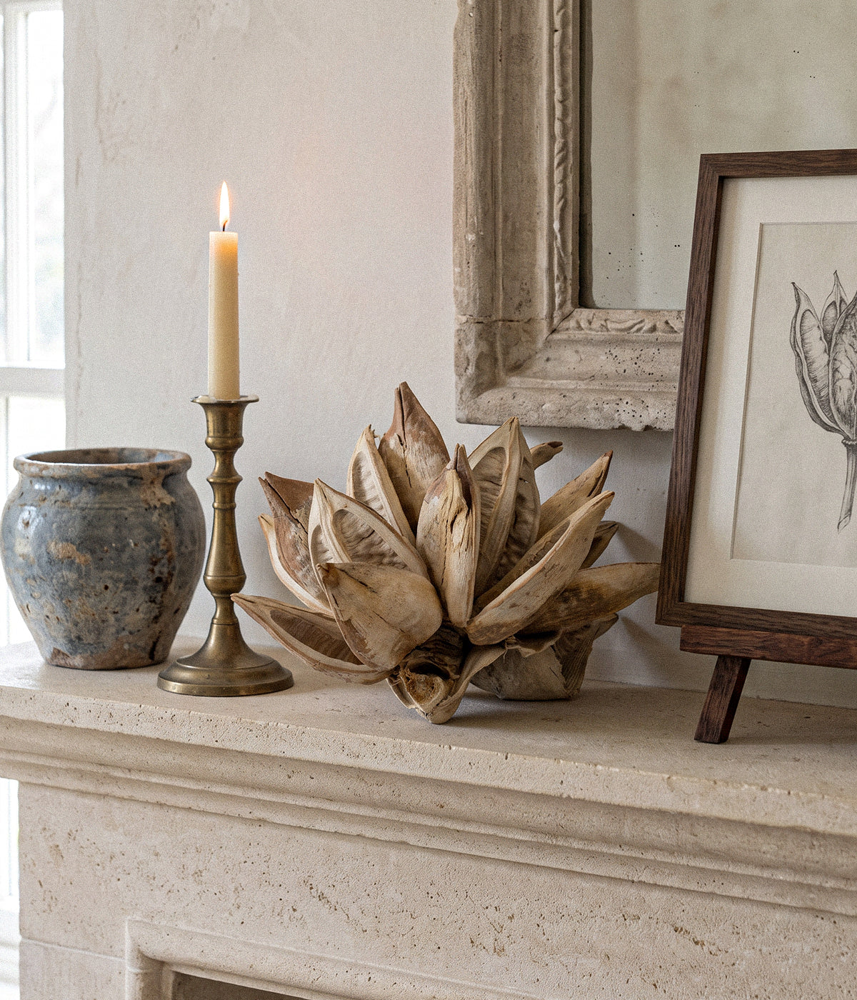 Dried Bleached Star Pod with layered open seed pods in a pale bleached finish.
