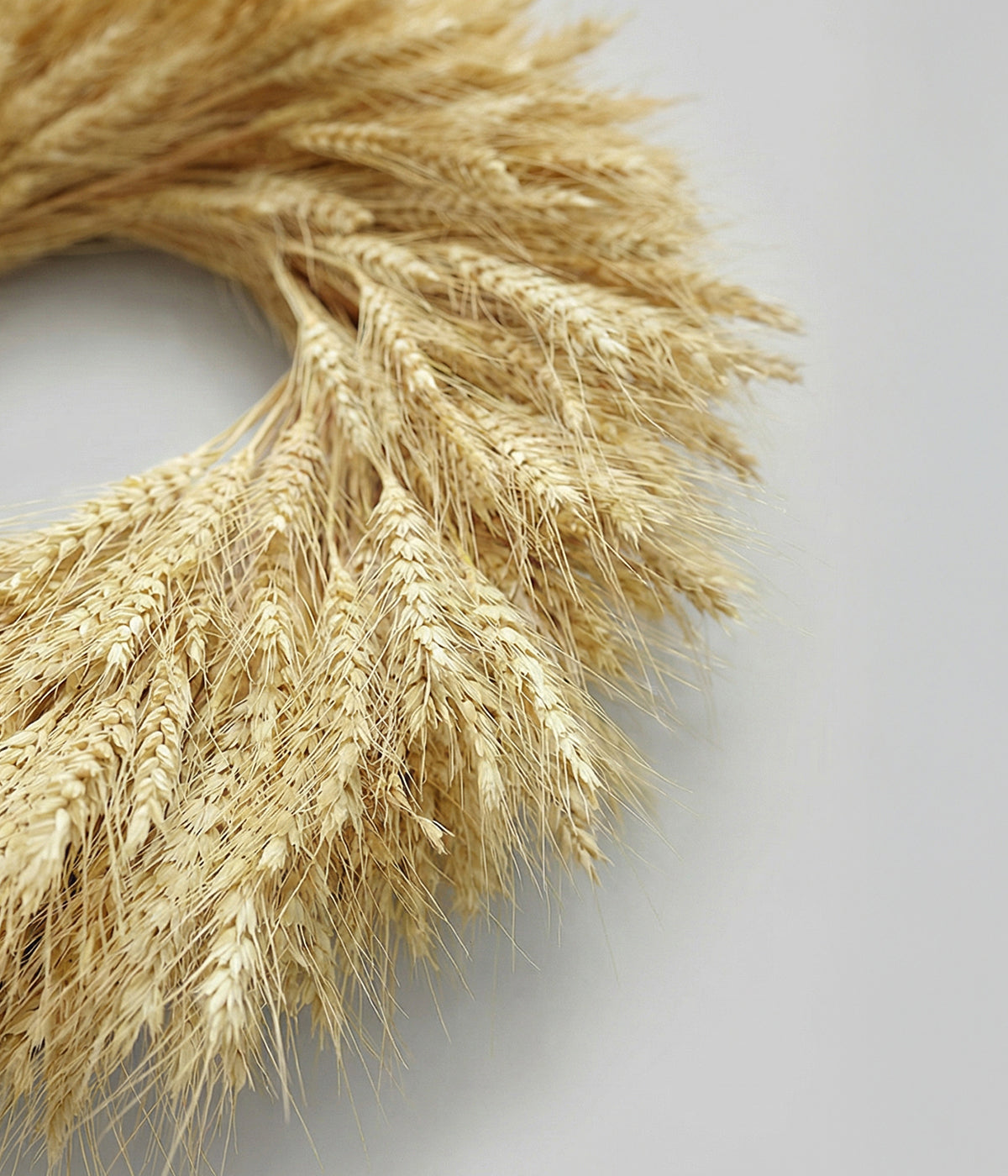 Bloomist Dried Wheat Wreath