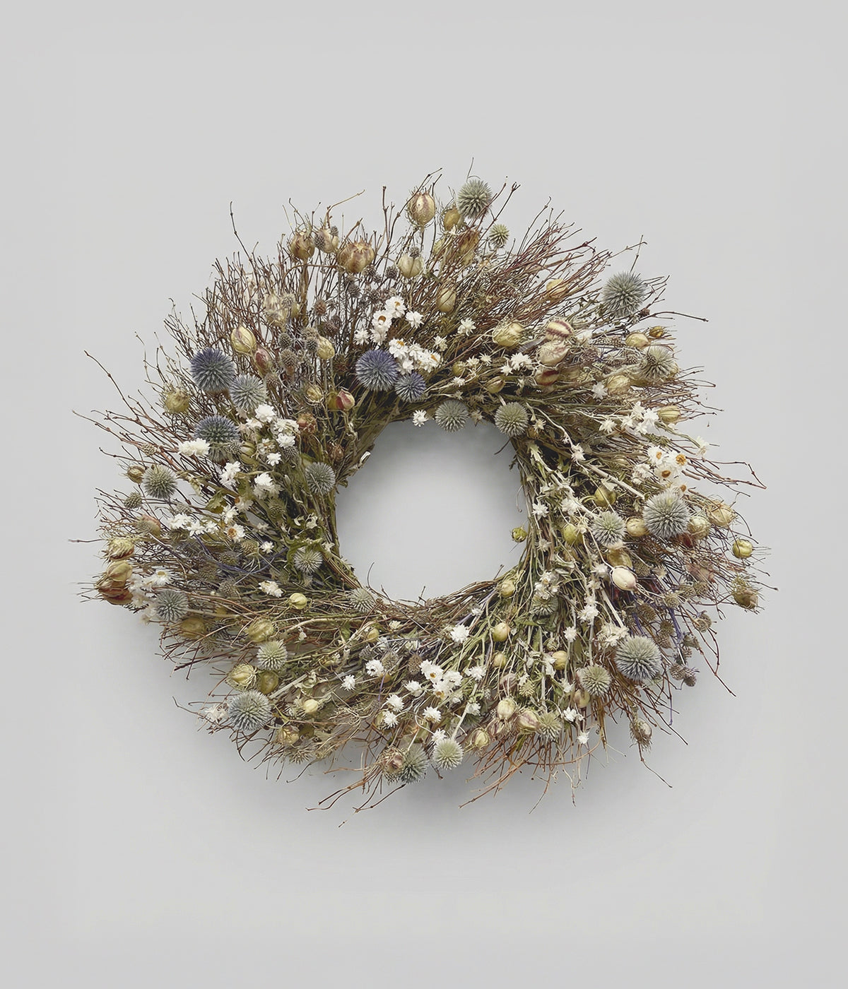 Rosalind dried thistle wreath with daisies on a grey background