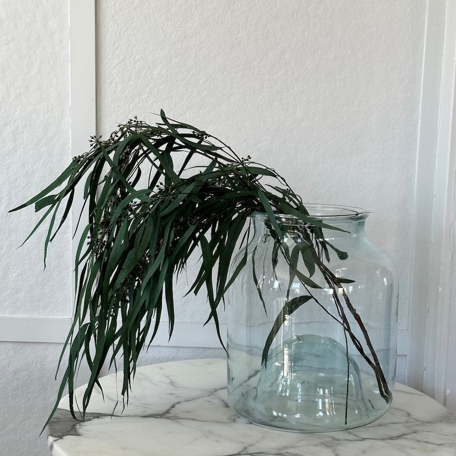 Preserved Seeded Feathered Willow - Bloomist