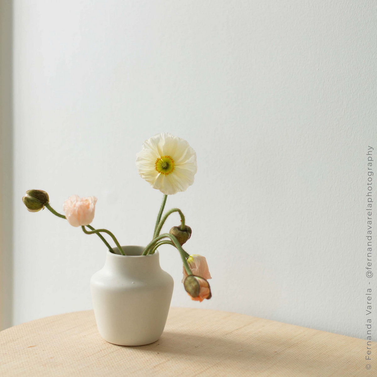 Ikebana Vase - Bloomist