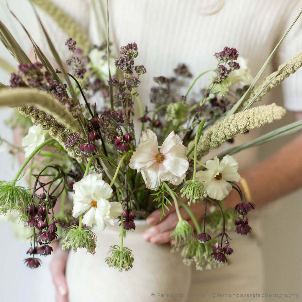 Dried Purple Blooming Oregano - Bloomist