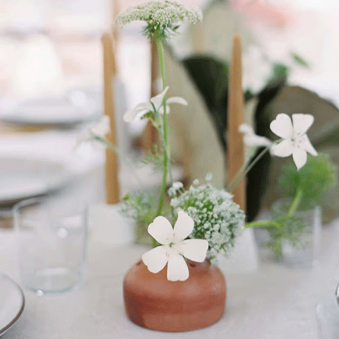 Floral Frog on a table